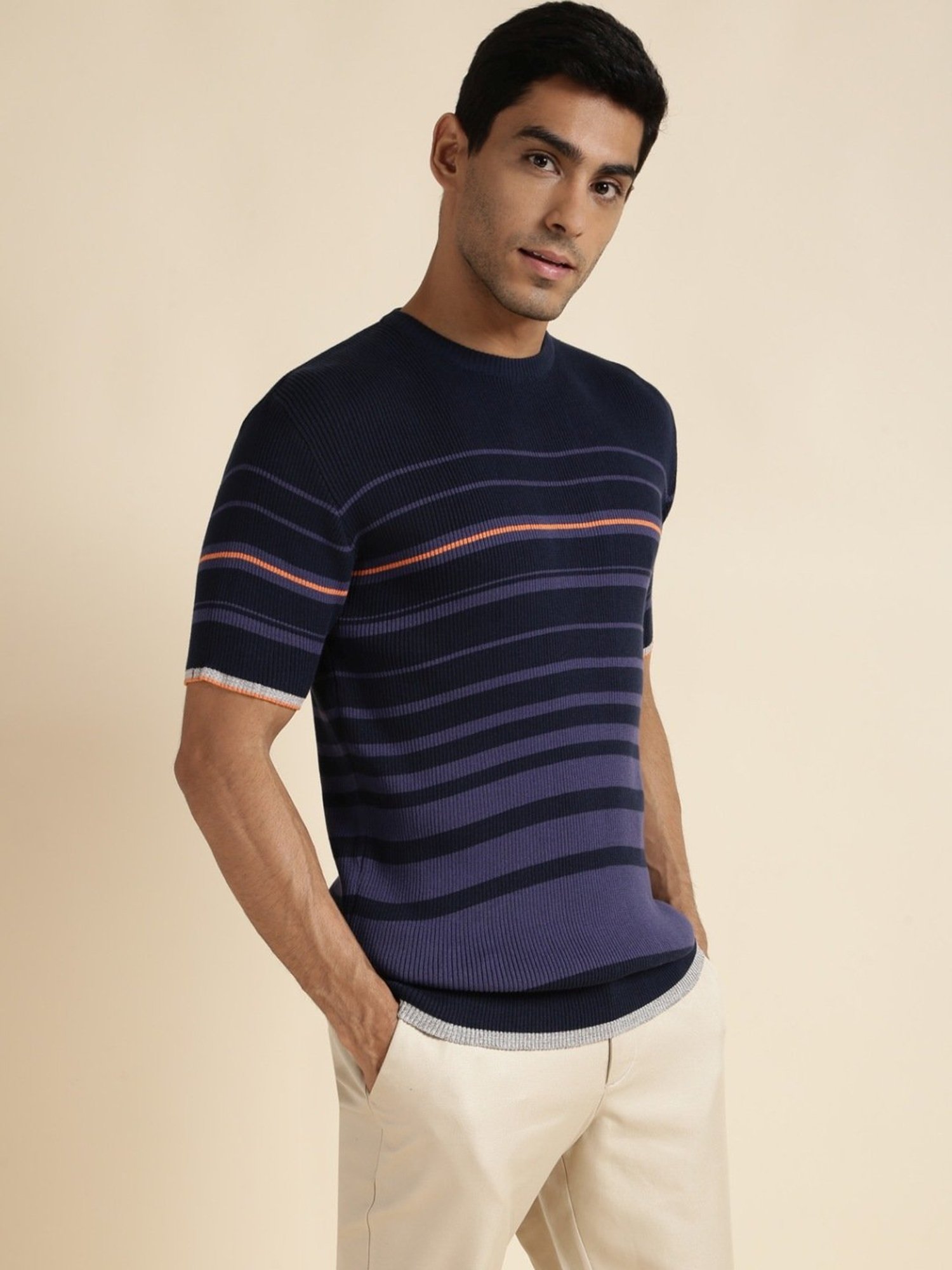 Andamen Navy Regular Fit Striped T-Shirt