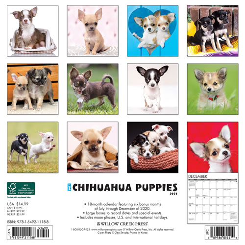 2021 Chihuahua Puppies Wall