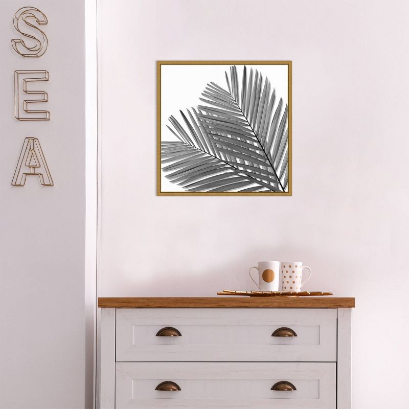16" x 16" Palm I by Mia Jensen Framed Wall Canvas Black/White - Amanti Art