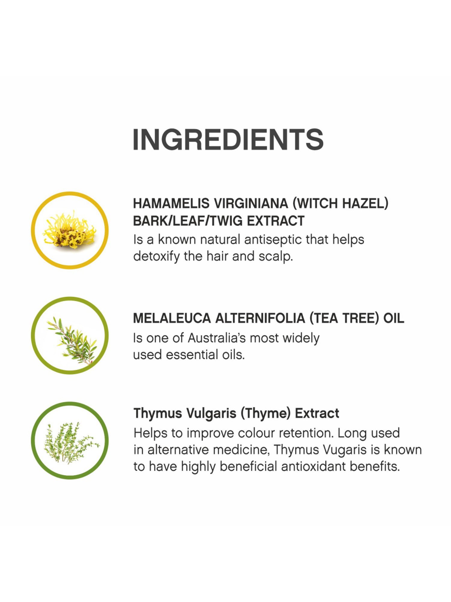 KEVIN MURPHY MAXI.WASH 40 ML