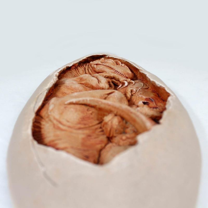 Master Replicas Utahraptor Embryo Resin Replica Dinorama