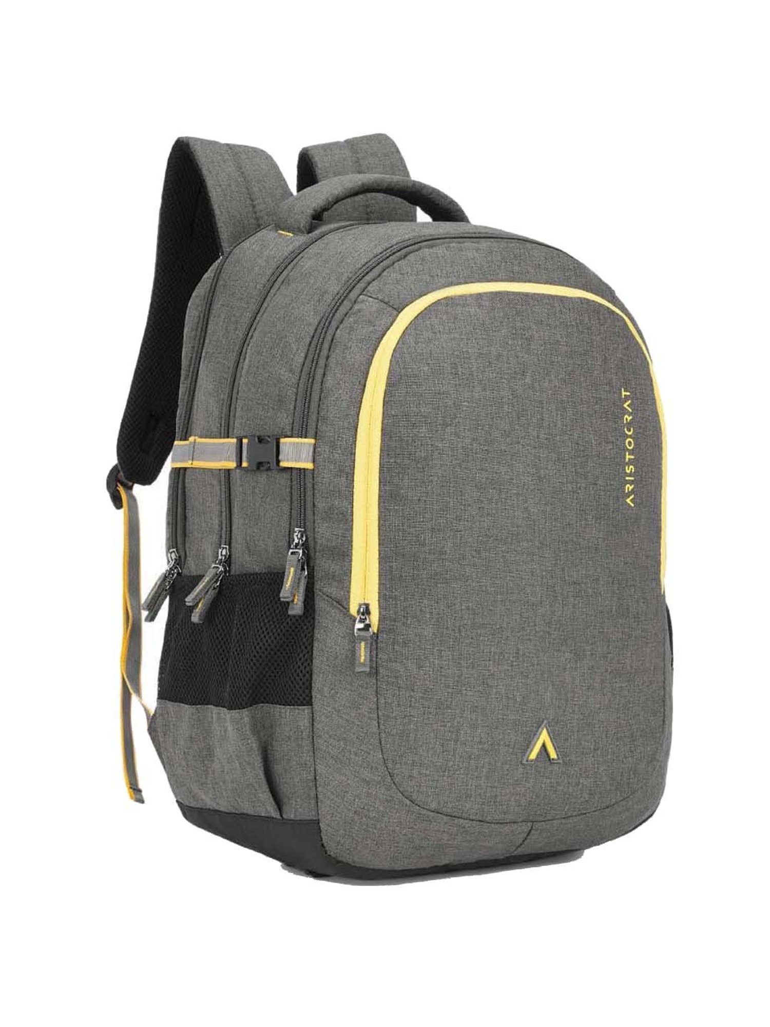 Aristocrat 32 Ltrs Grey Medium Backpack