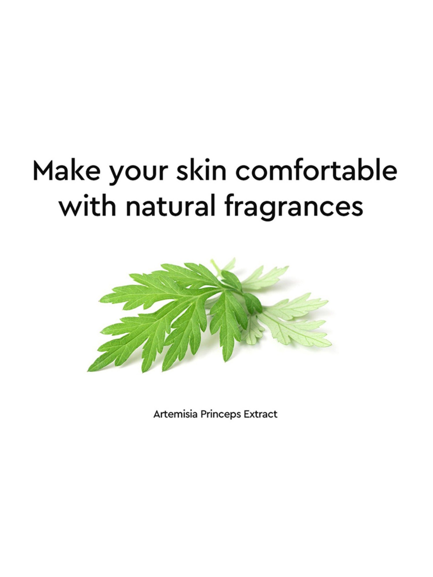 Dewytree Urban Shade Cover & Fit Sun SPF 50+ PA++++ - 40 ml