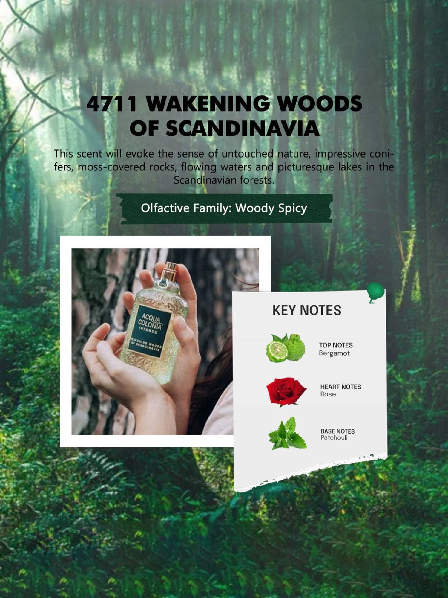 4711 Acqua Colonia Intense Wakening Woods Of Scandinavia Eau de Cologne - 170 ml