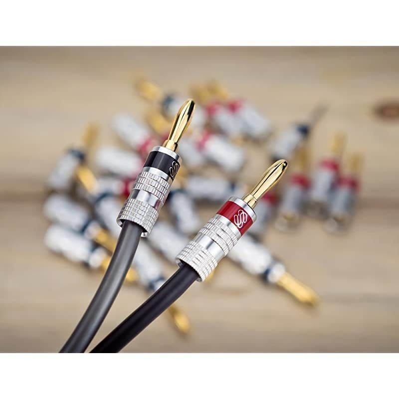 Silverback Banana Plugs, 24k Gold Dual Screw Lock Speaker Connector, 12 Pairs