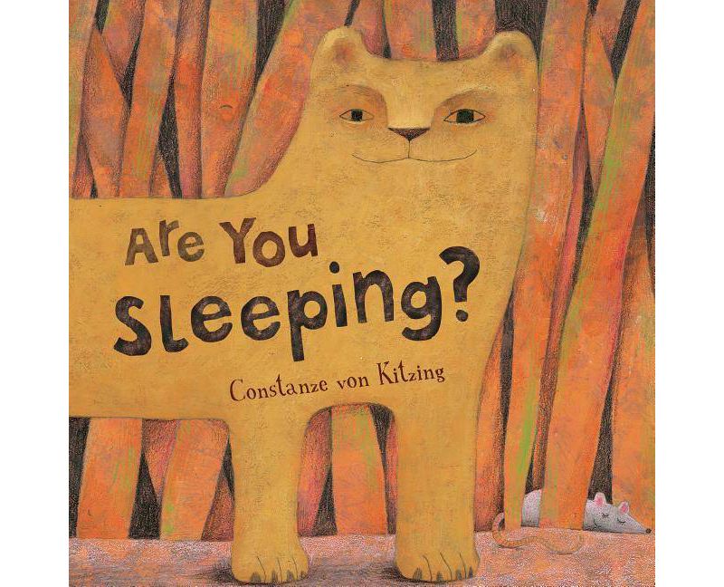 Are You Sleeping - by  Constanze V Kitzing (Paperback)