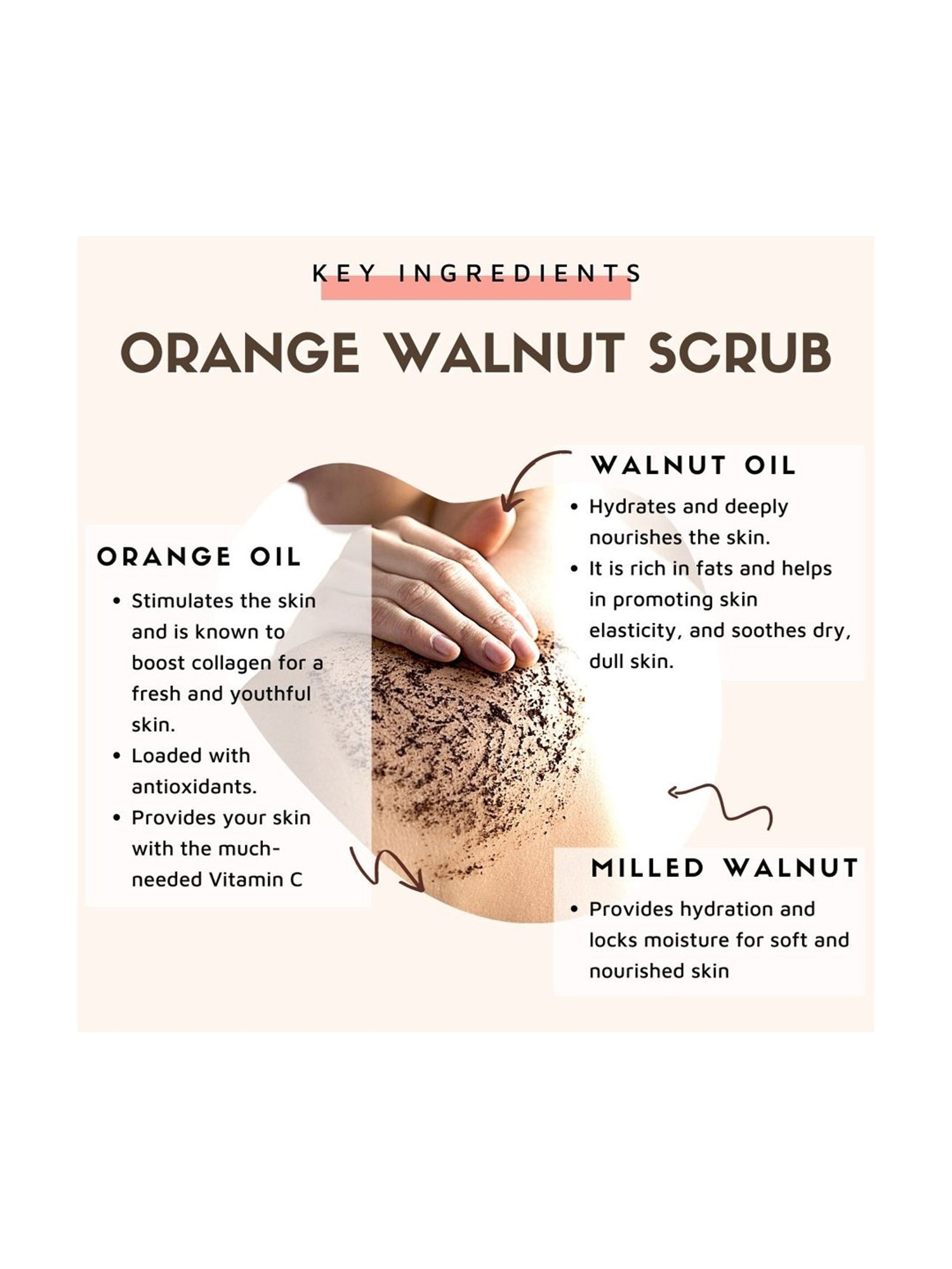 Essentia Extracts Orange Walnut Face & Body Exfoliating Scrub (Pack of 2) - 30 gm