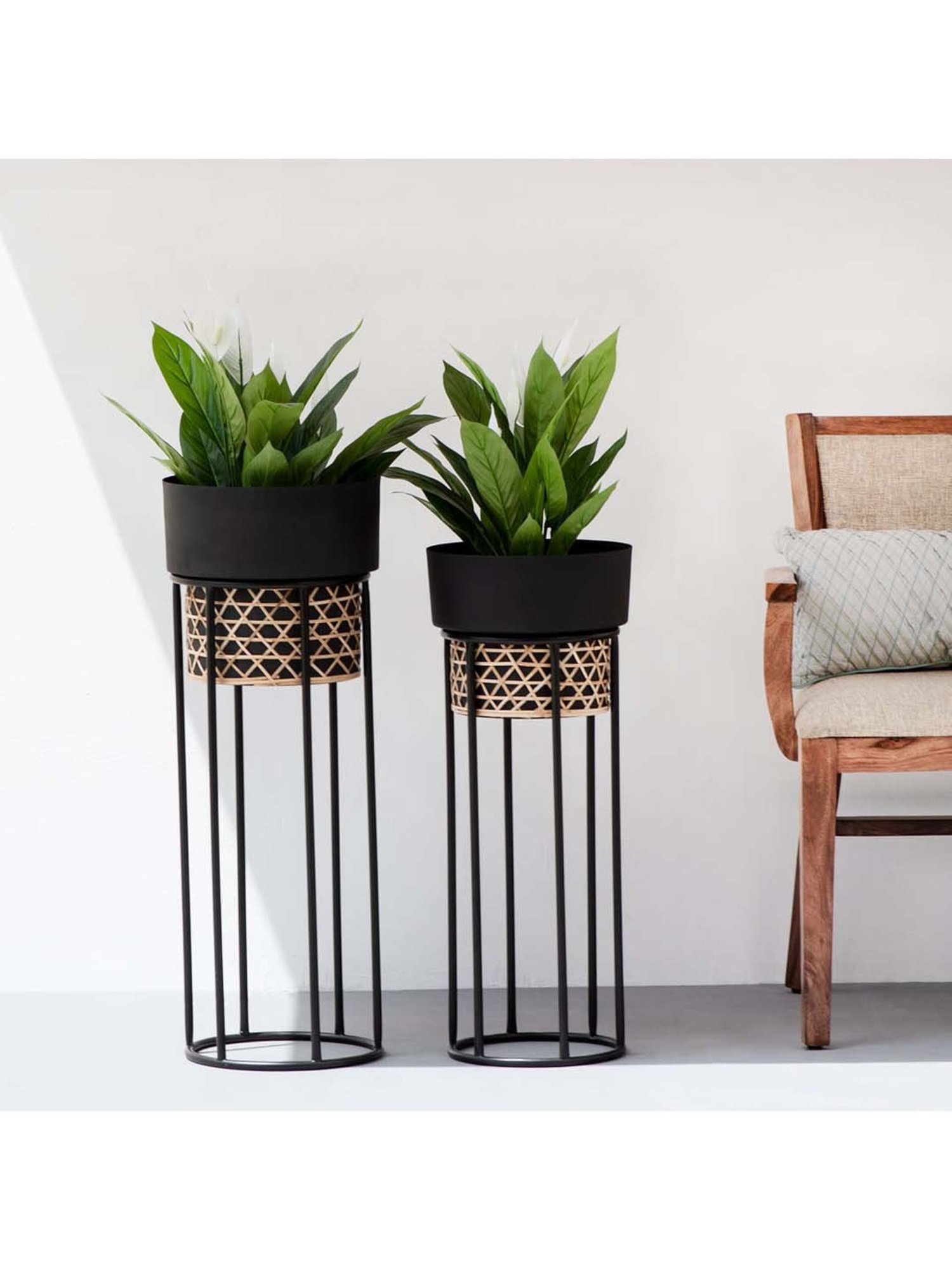 THE DECOR REMEDY Matt Black Iron Handwork Cane Planter with Stand - Set of 2