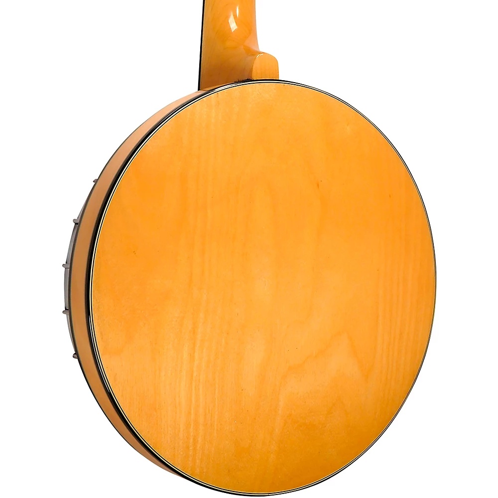 Gold Tone GT-500 (Banjitar)