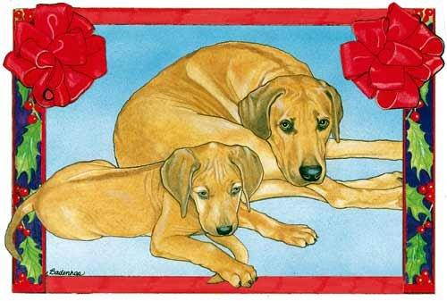 Rhodesian Ridgeback Christmas Cards : 10 Holiday Cards with Red Envelopes - ADORABLE!