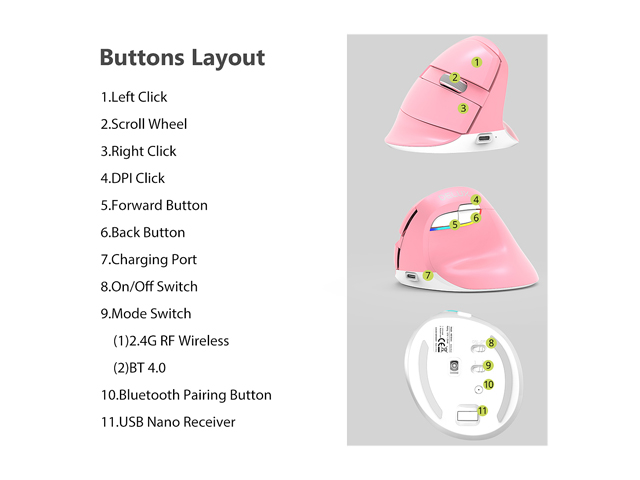 DELUX Wireless Small Vertical Mouse, Type-C Rechargeable Dual Mode Silent Ergonomic Mice with Bluetooth 4.0 and USB Nano Receiver, 4 Adjustable DPI and 6 Buttons (M618mini-White)