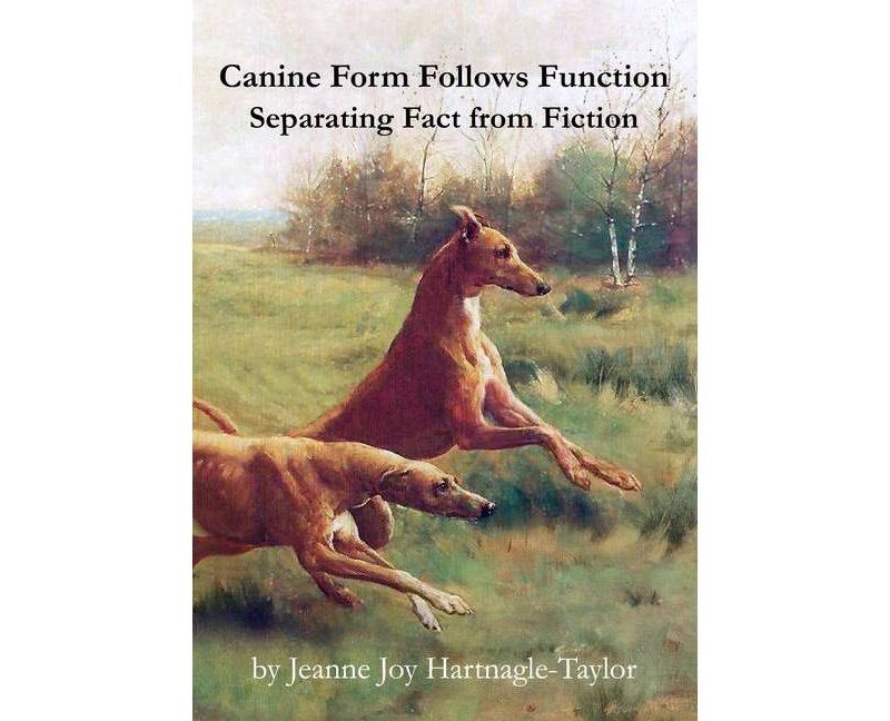 Behold the Personal Maine Coon - by  Phyllis Stiebens (Paperback)