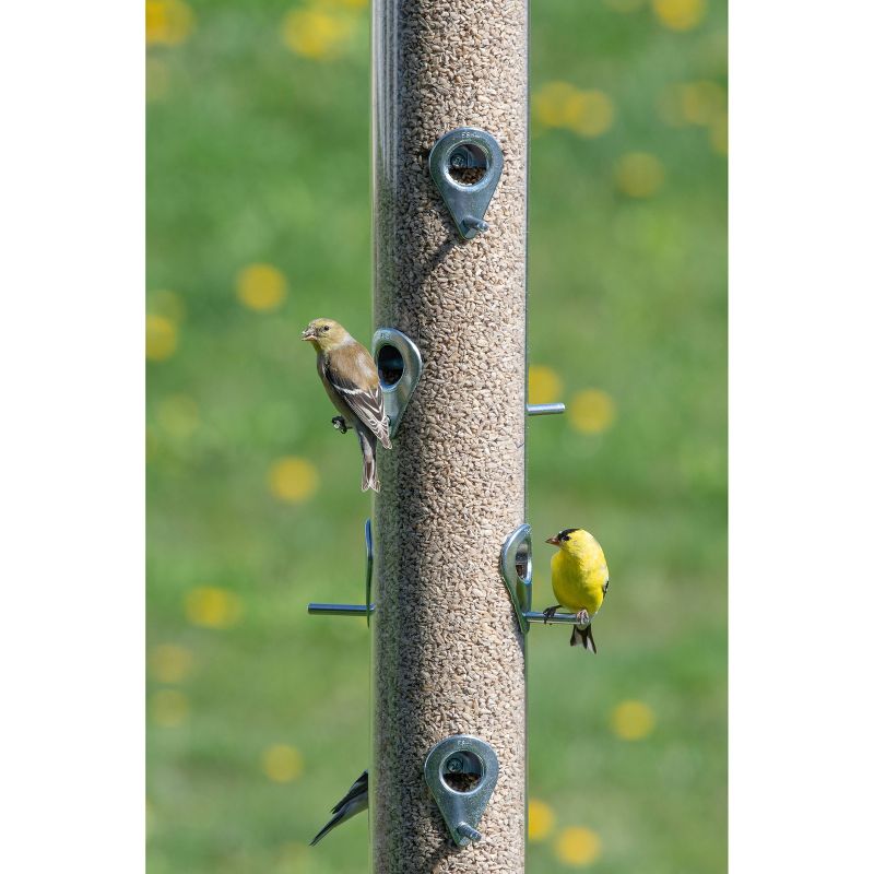 Droll Yankees Classic The Executive B-72 Bird Feeder