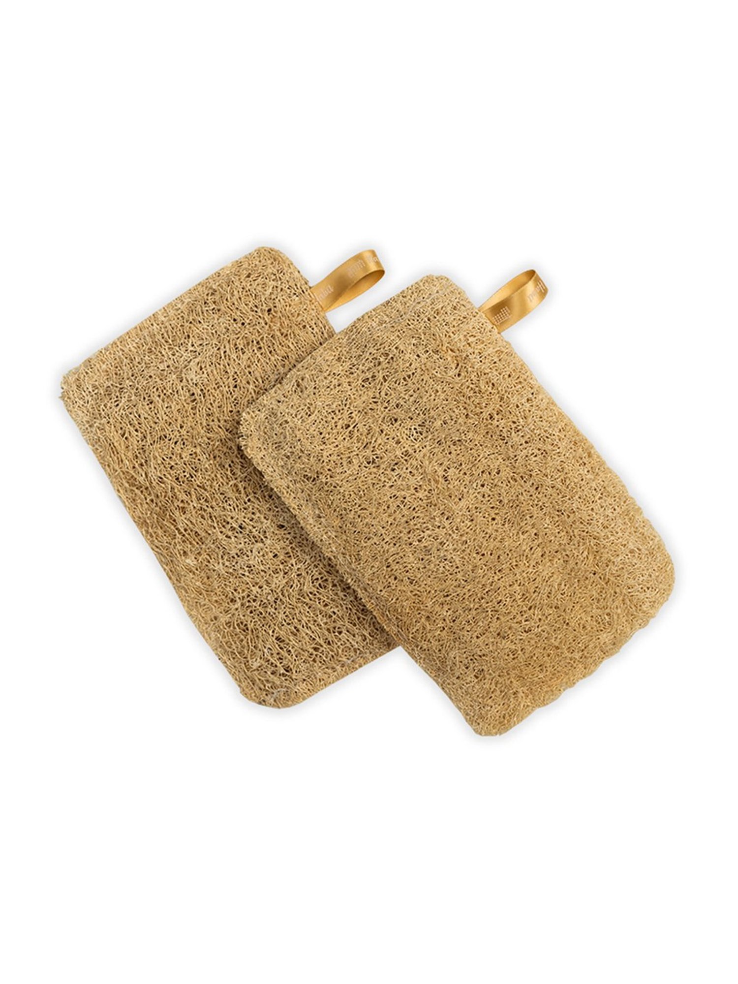 Shae Ginger Detox Body Wrap - 75 gm