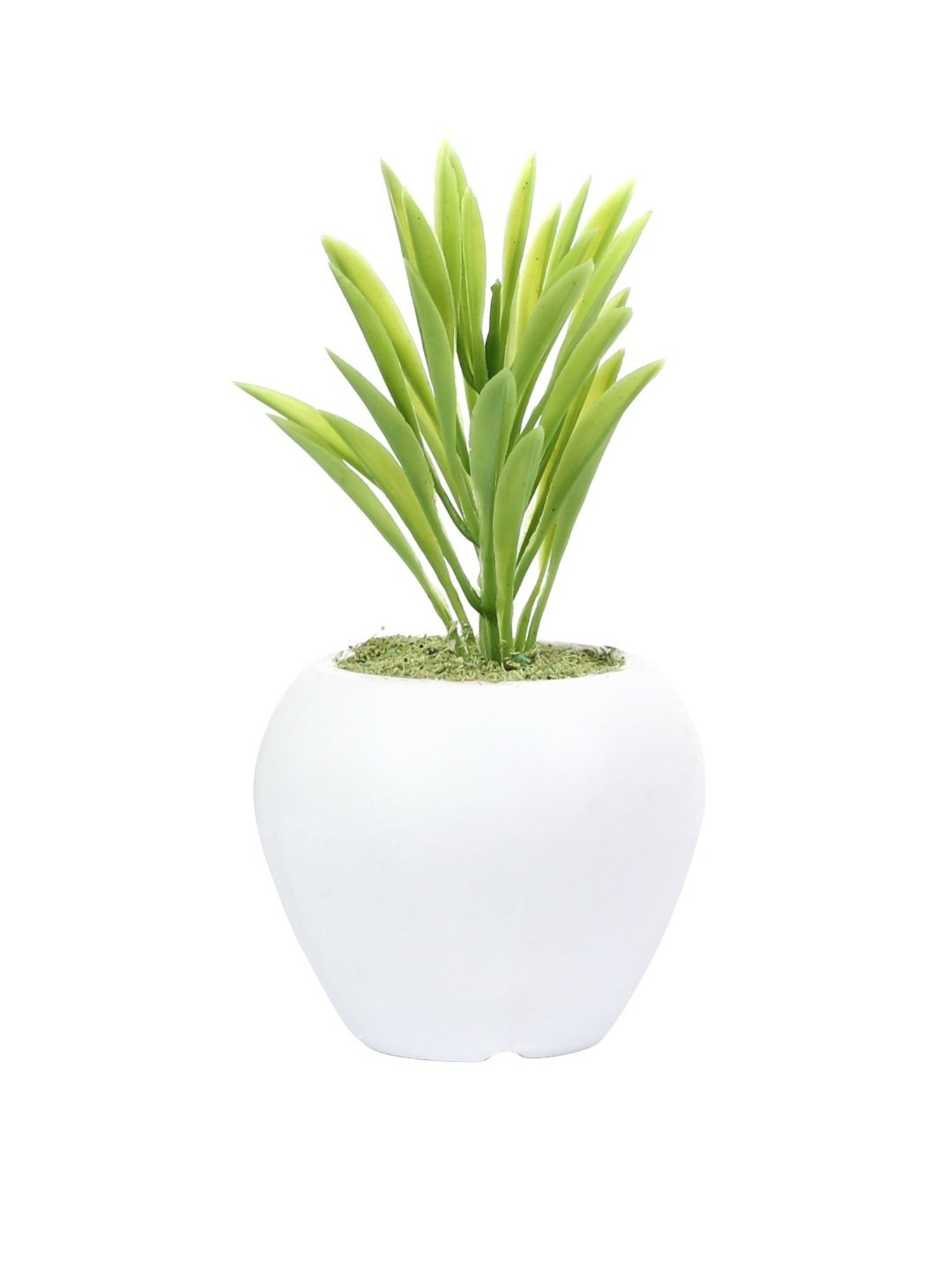 Mason Home Braided Grey Tissue Box