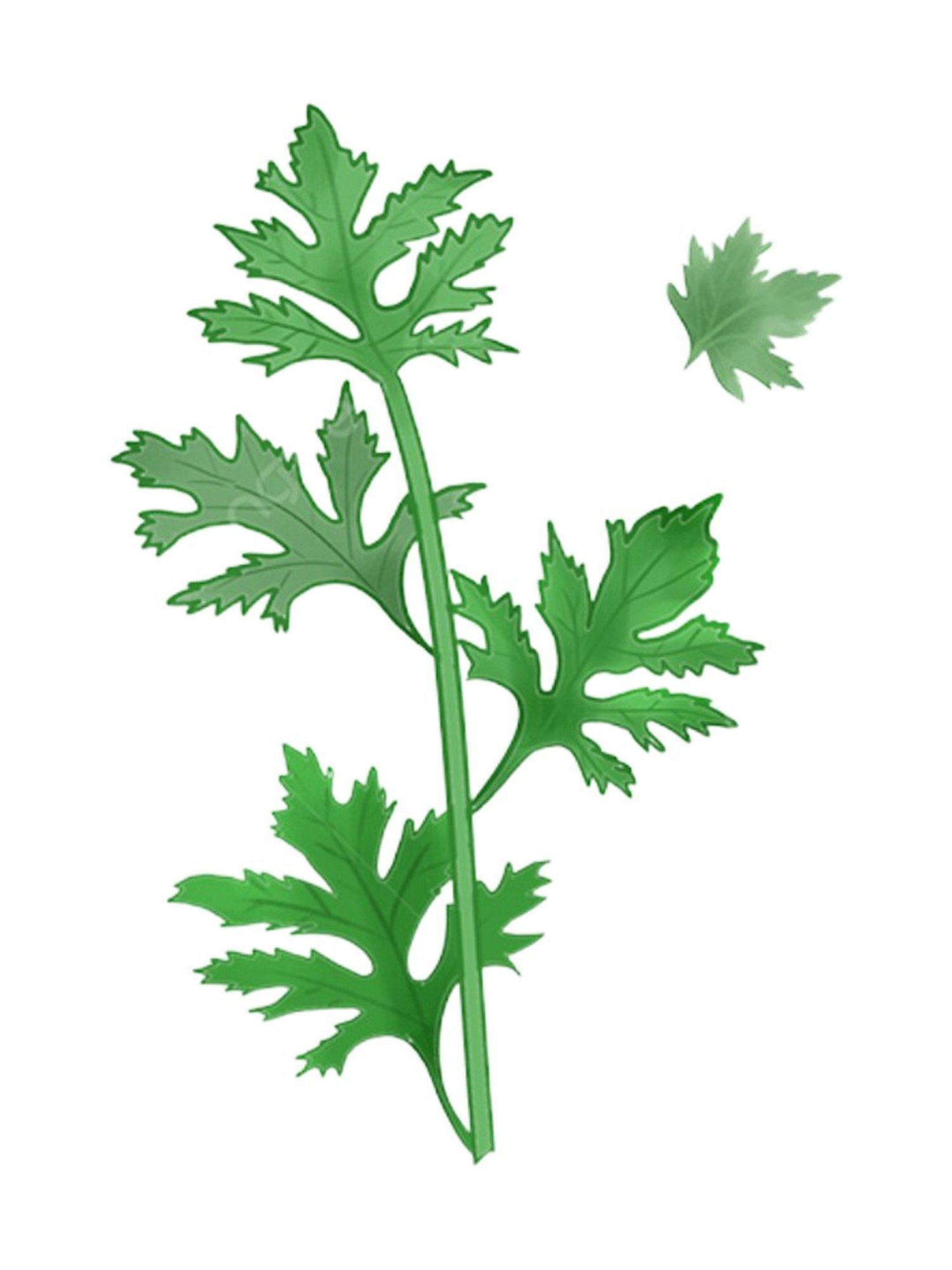 Beauty of Joseon Mugwort + Camelia Matte Sun Stick SPF 50 PA++++ - 18 gm