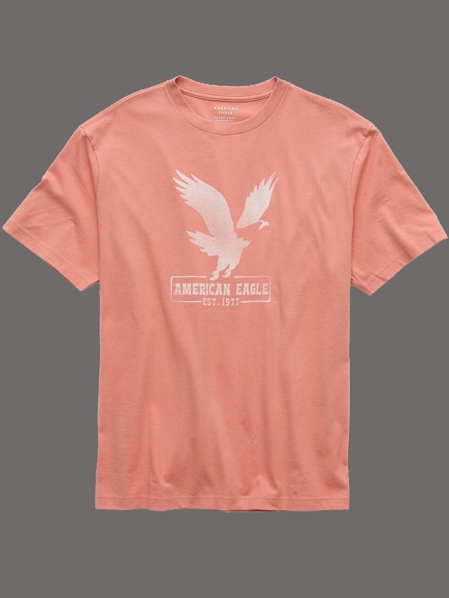 American Eagle Peach Regular Fit Printed T-Shirt