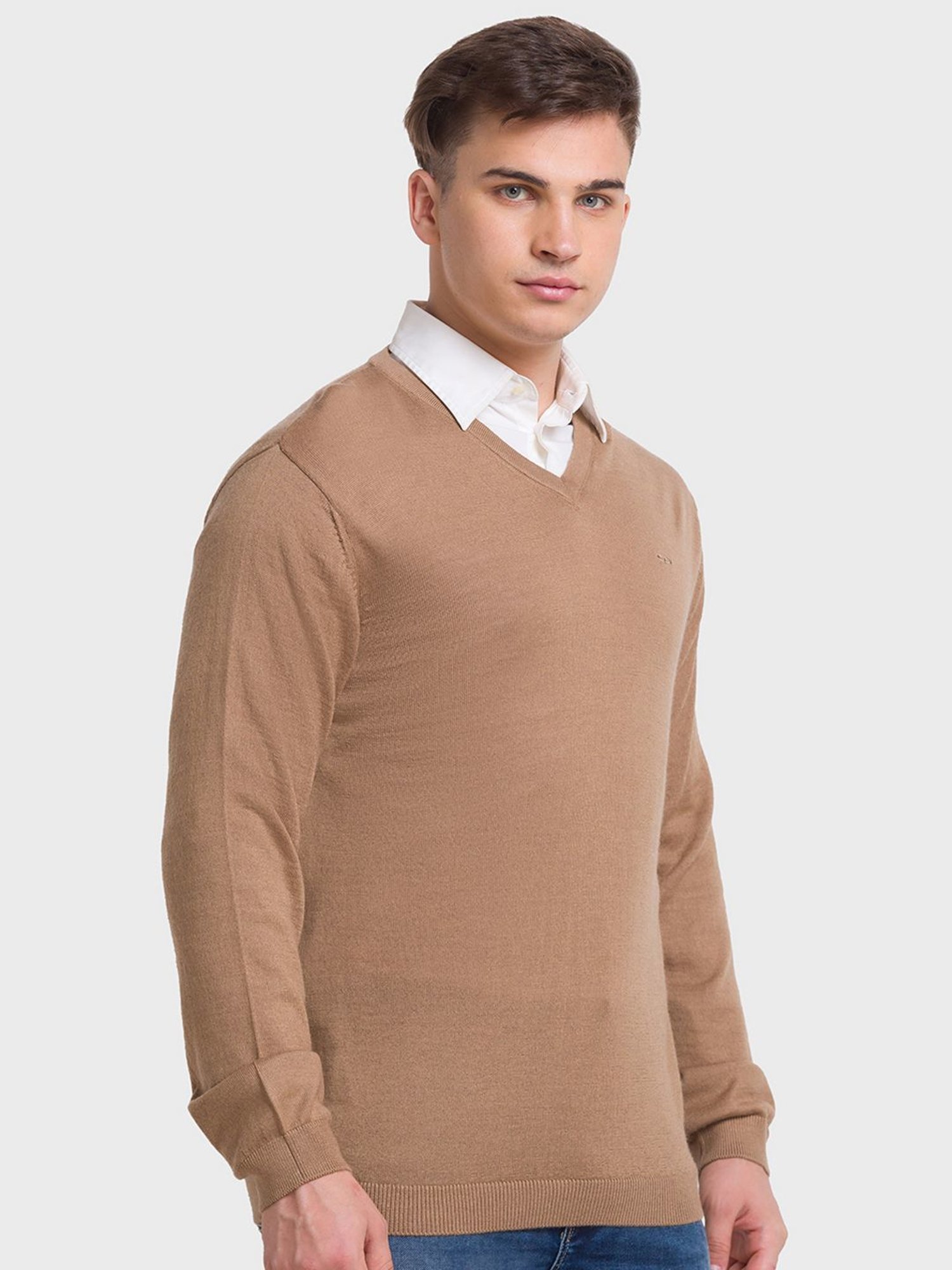ColorPlus Brown Tailored Fit Sweaters