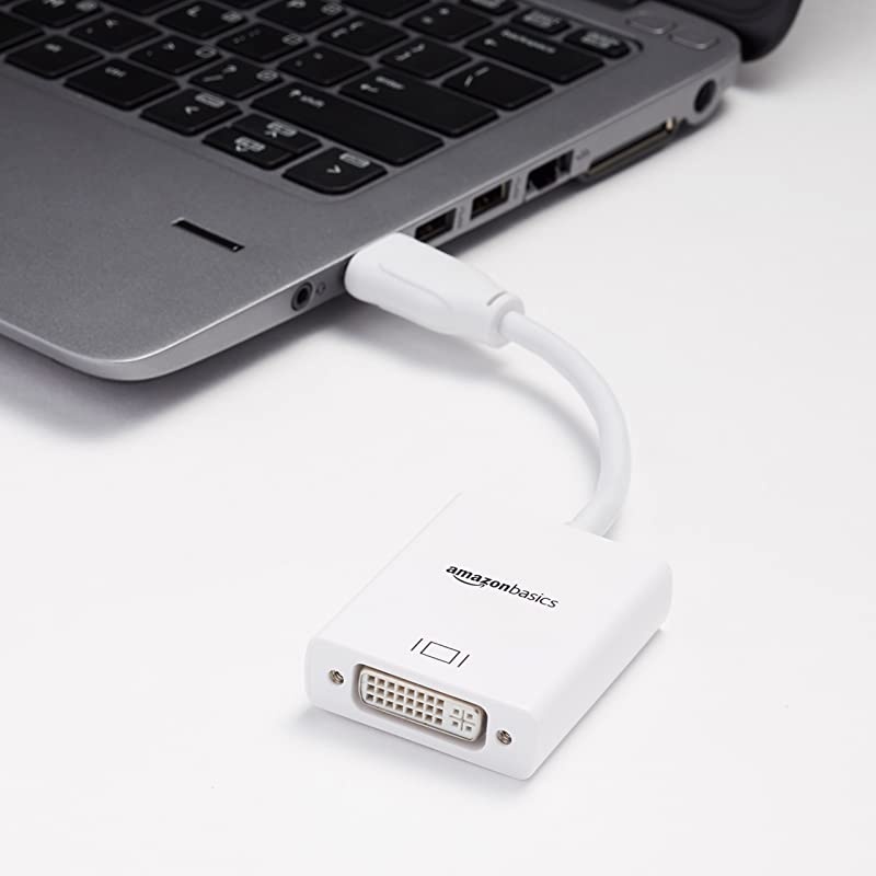 Basics DisplayPort to DVI Adapter_10 pack