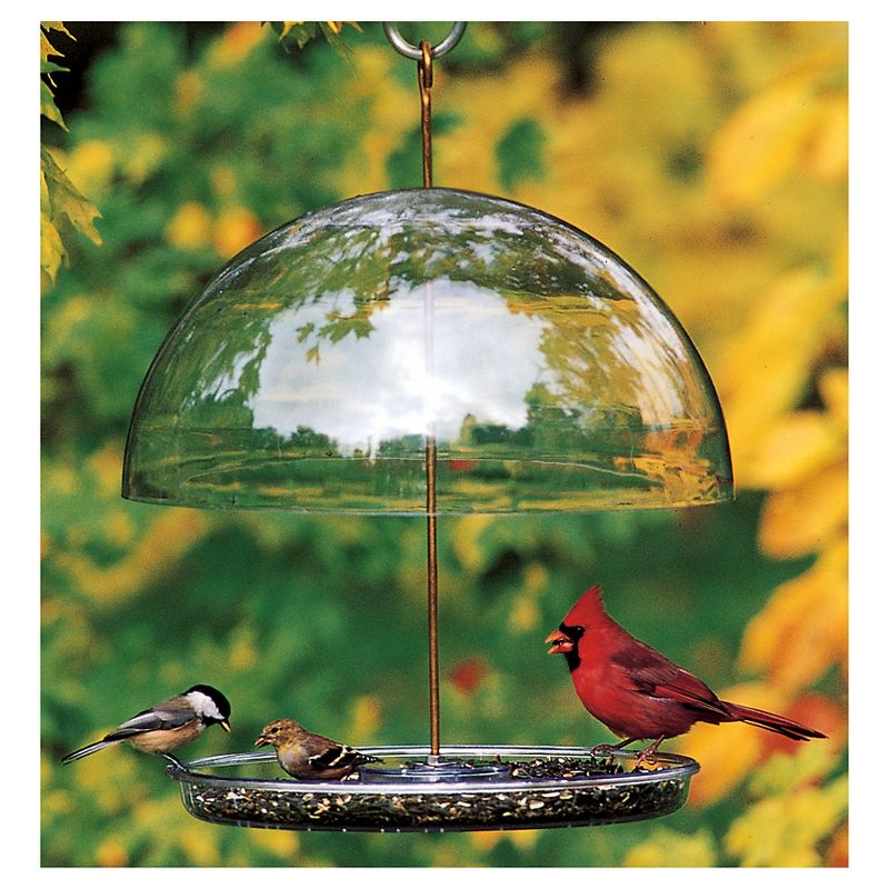Droll Yankees The Cutest Chickadee Feeder - Clear