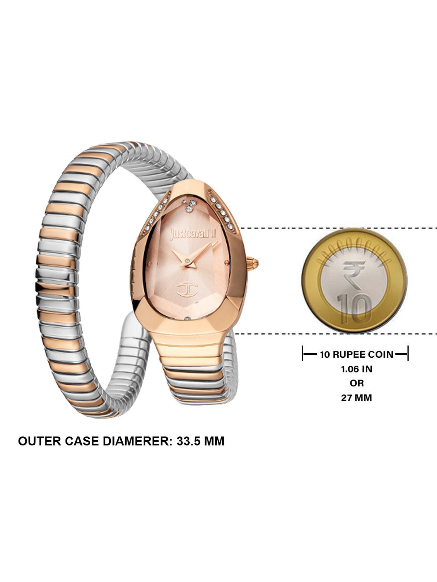 JUST CAVALLI JC1L208M0075 Analog Watch for Women