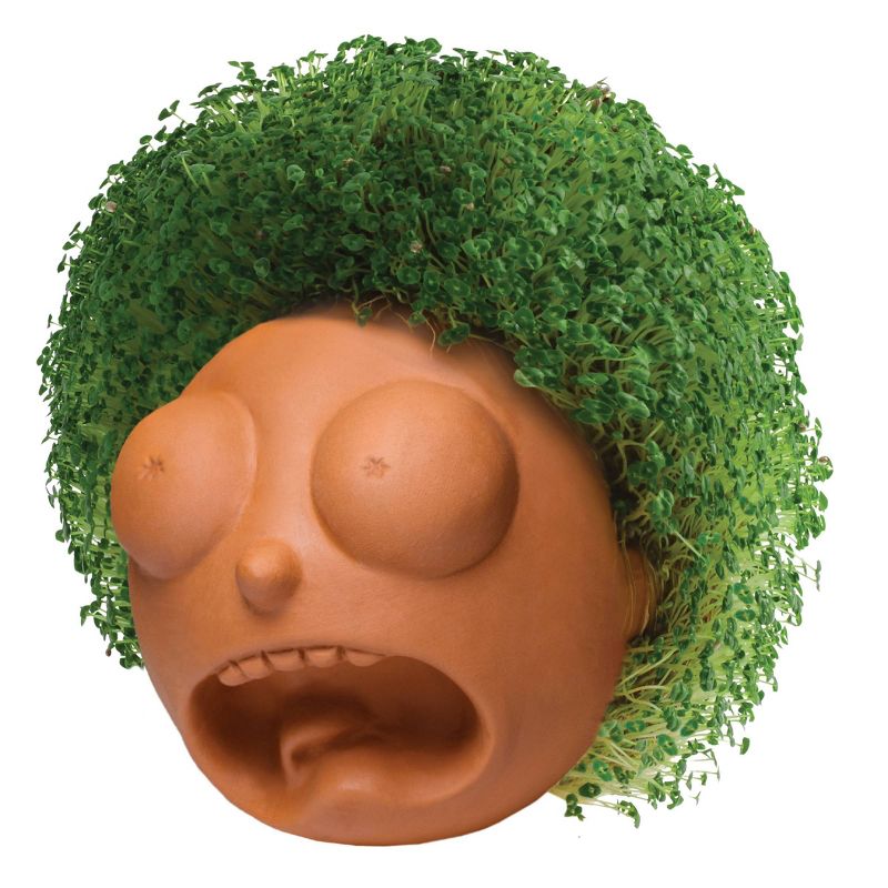 Chia Rick & Morty - Morty