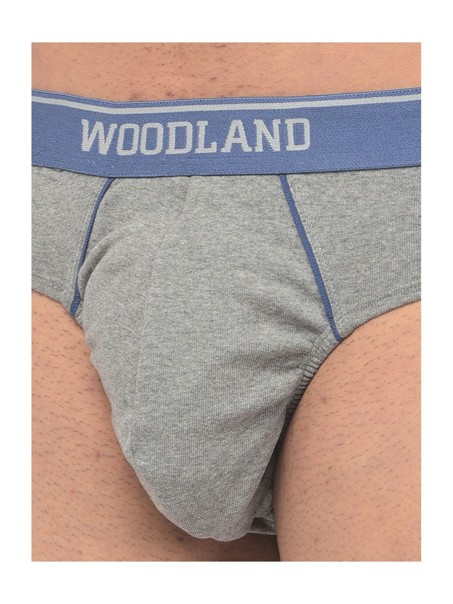 Woodland Light Grey Solid Briefs