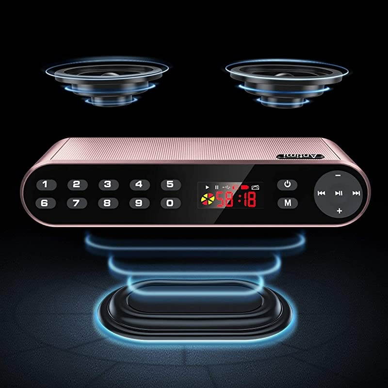 Bluetooth Speakers with FM Radio MP3 Player Stereo Portable Wireless Speaker Dual Drivers with HD Sound Builtin Microphone High Definition Audio and Enhanced Bass Pink