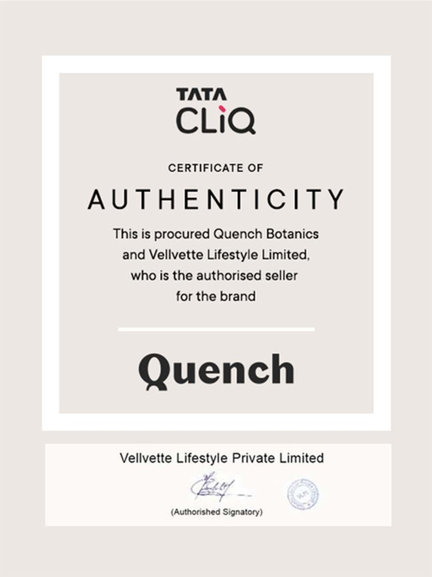 Quench Botanics Matcha Better Anti-Shine Moisturizer - 15 ml