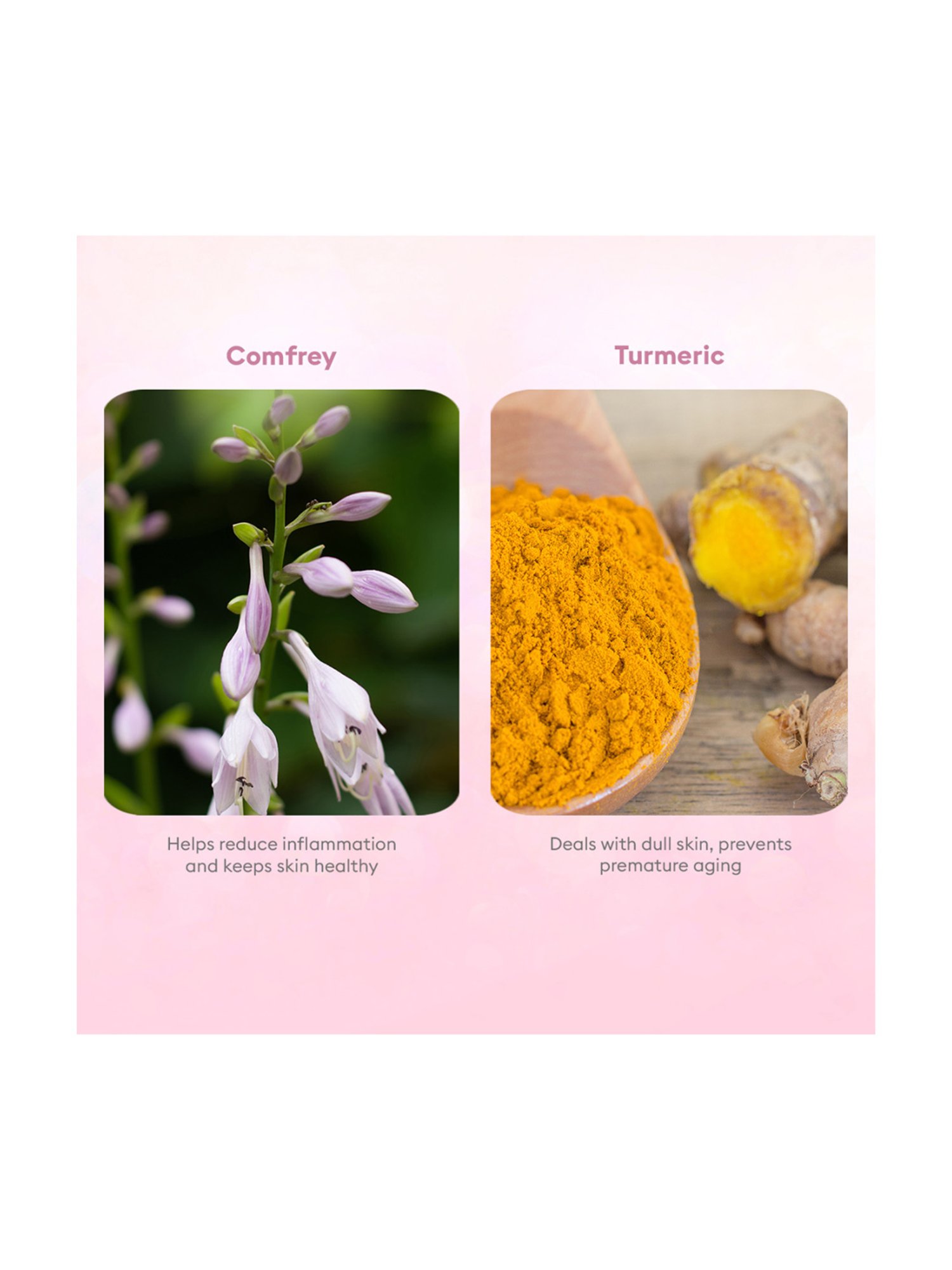 Globus Naturals Papaya Facial Kit