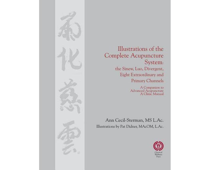 Illustrations of the Complete Acupuncture System - by  Ann Cecil-Sterman (Paperback)