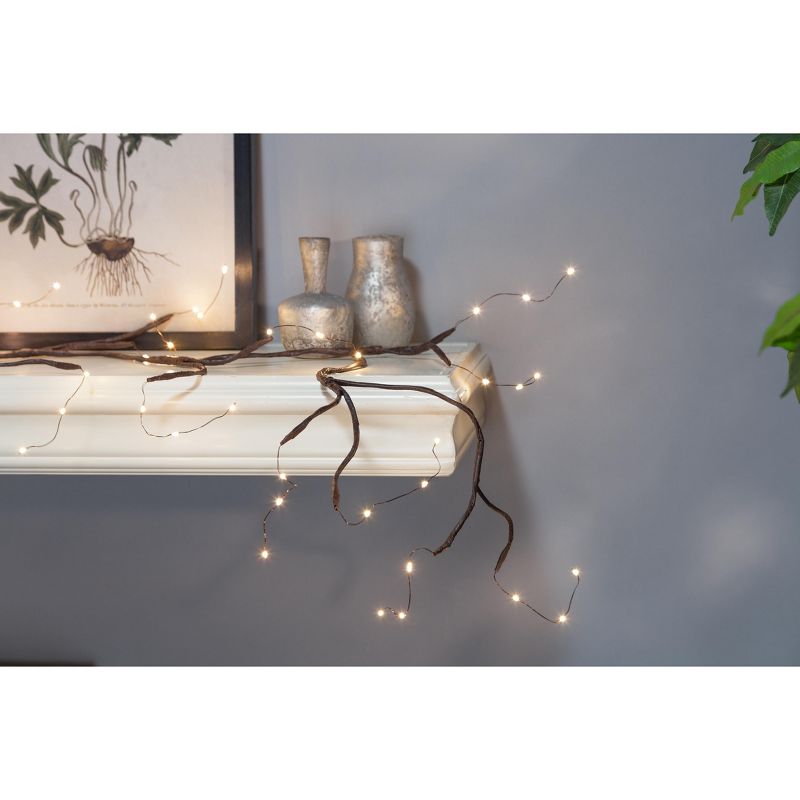 Everlasting Glow Set of 2 72-Inch Long Battery-Operated Micro-LED Illuminated Matte Brown Indoor/Outdoor Garlands and Timer Feature