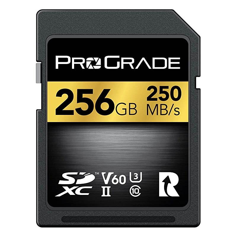 SD UHSII 256GB Card V60 Up to 130MBs Write Speed and 250 MBs Read Speed | for Professional Vloggers Filmmakers Photographers Content Curators by