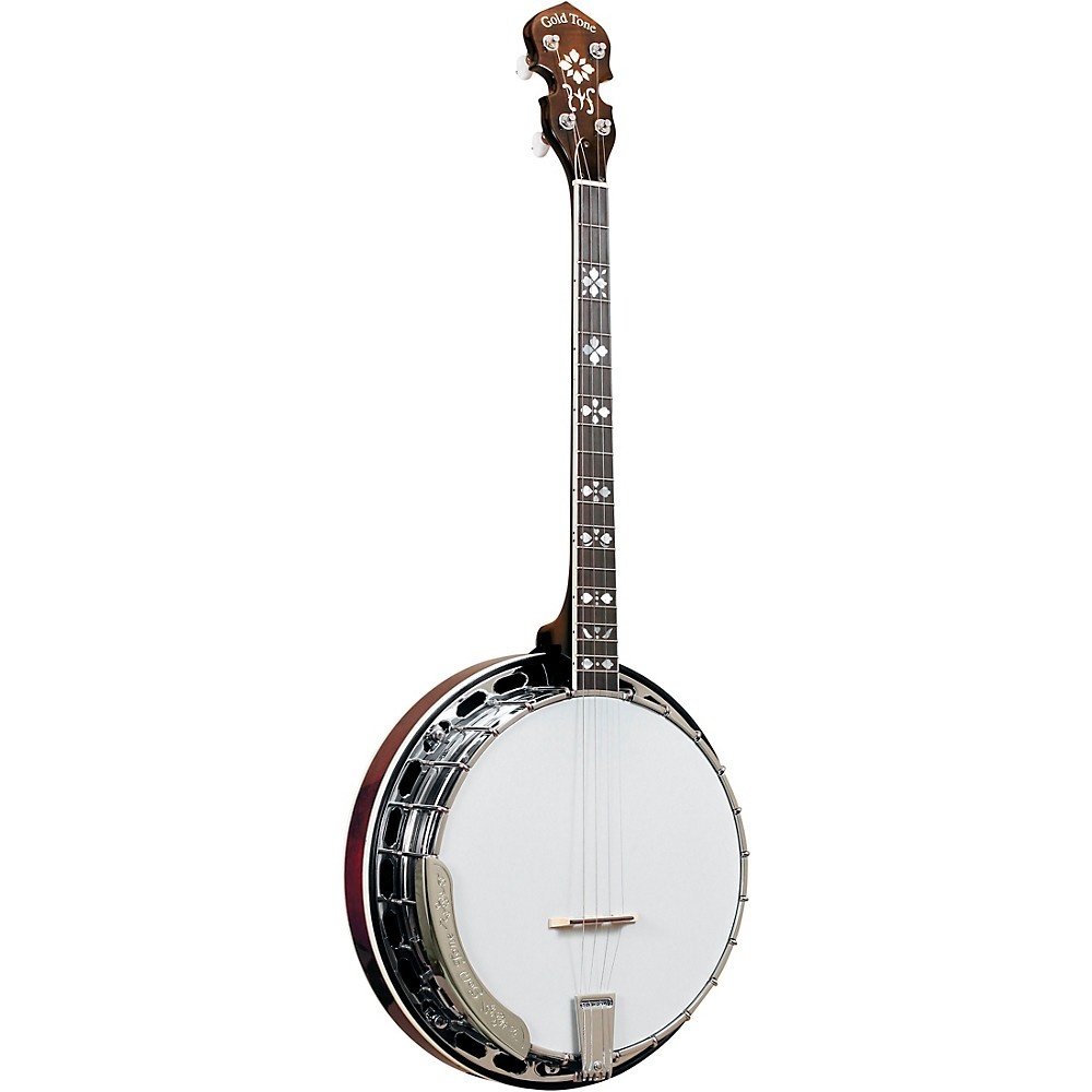 Gold Tone TS-250 Tenor Special Banjo Vintage Brown
