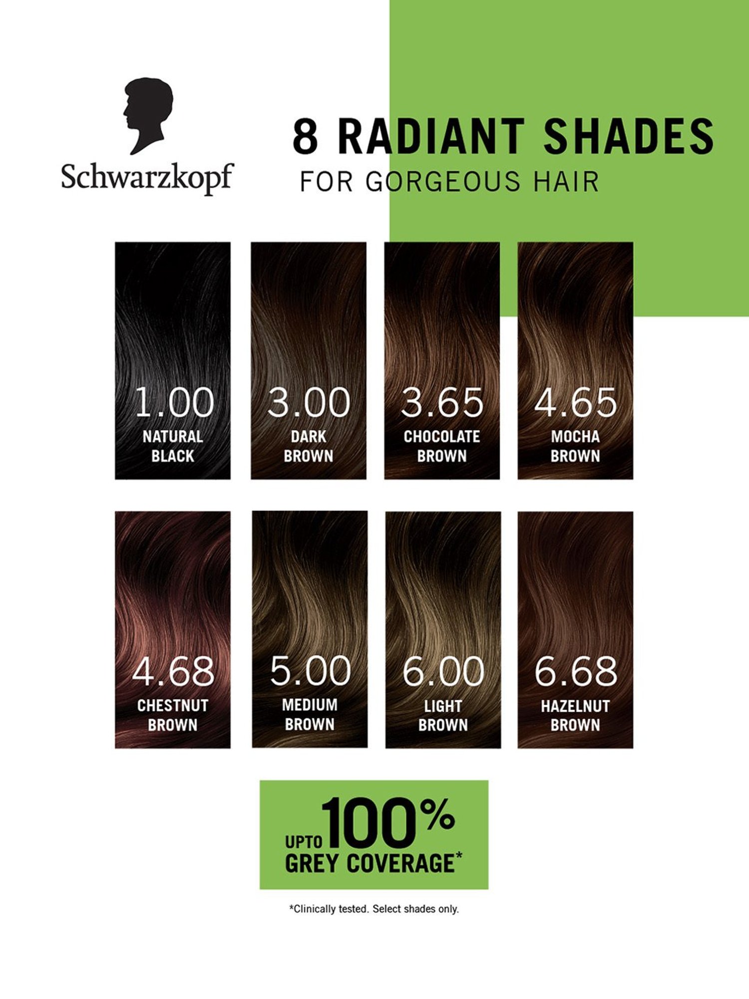 Vegetal Hair Bio Color Soft Black - 150 gm