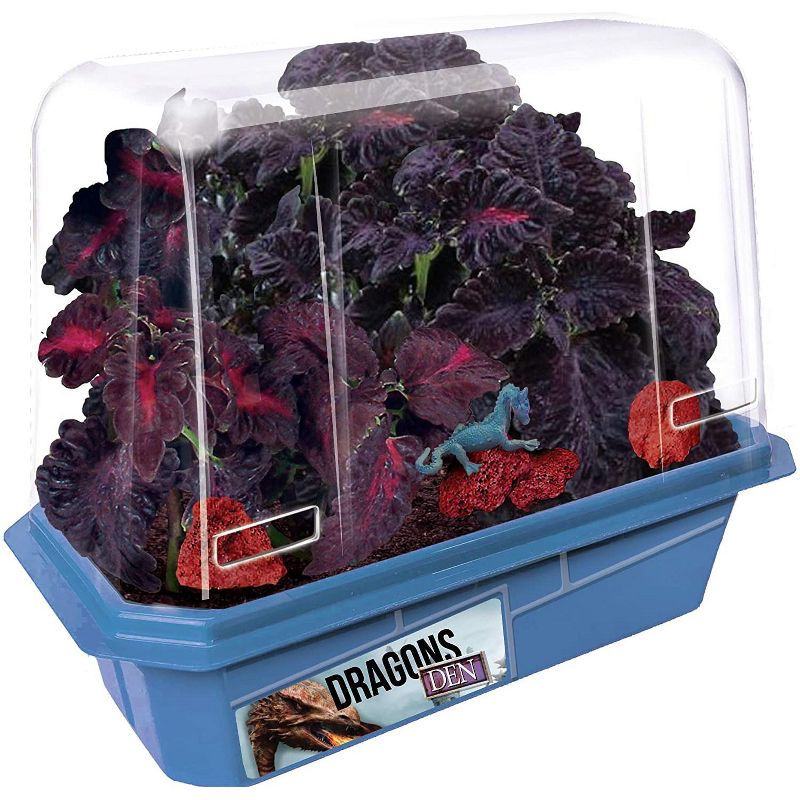 Toys By Nature Miniture World Terrariums - Dragon's Den