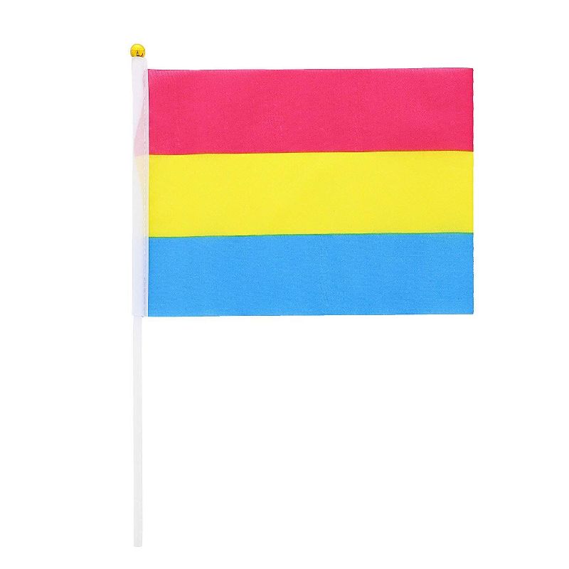 Juvale 60 Pack Pansexual Pride Flag, Handheld Stick Flags, LGBTQ Accessories (12 In)