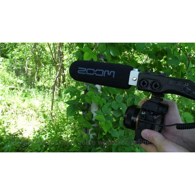 Zoom WSS-6 Foam Windscreen For SGH-6 and SSH-6 Shotgun Microphones, Reduce Wind Noise.