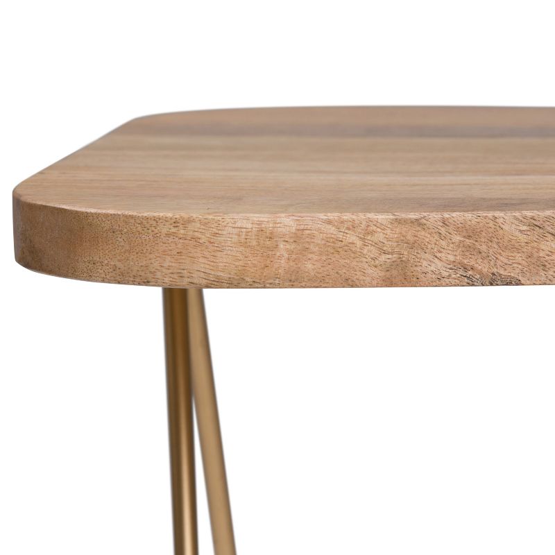 18" Tillman Metal and Wood Accent Table Natural/Gold - WyndenHall