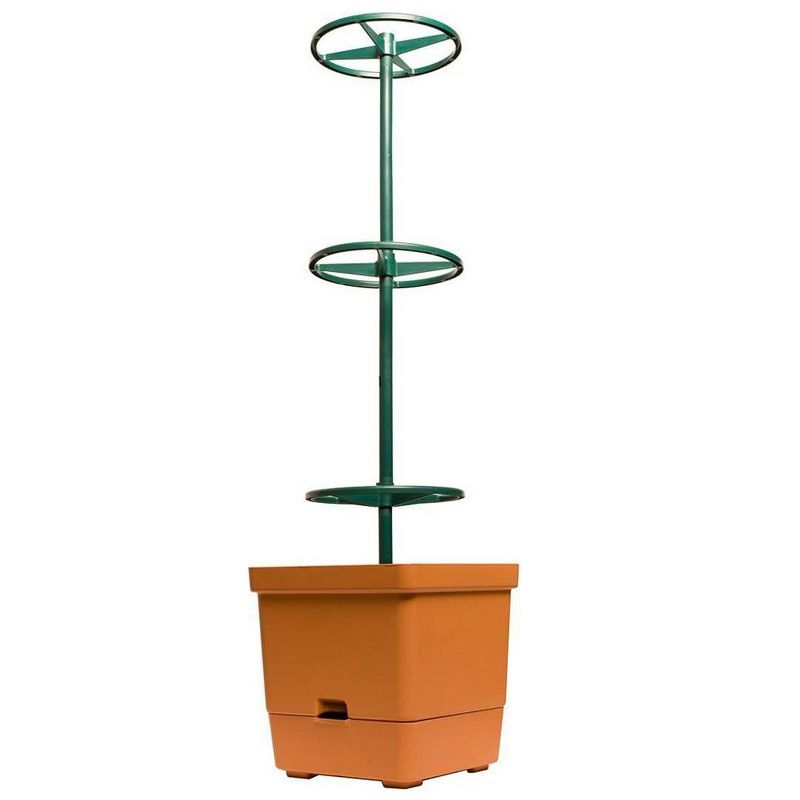 Hydrofarm GCTT Self Watering Tomato Treillis Tree Planter Garden Grow System