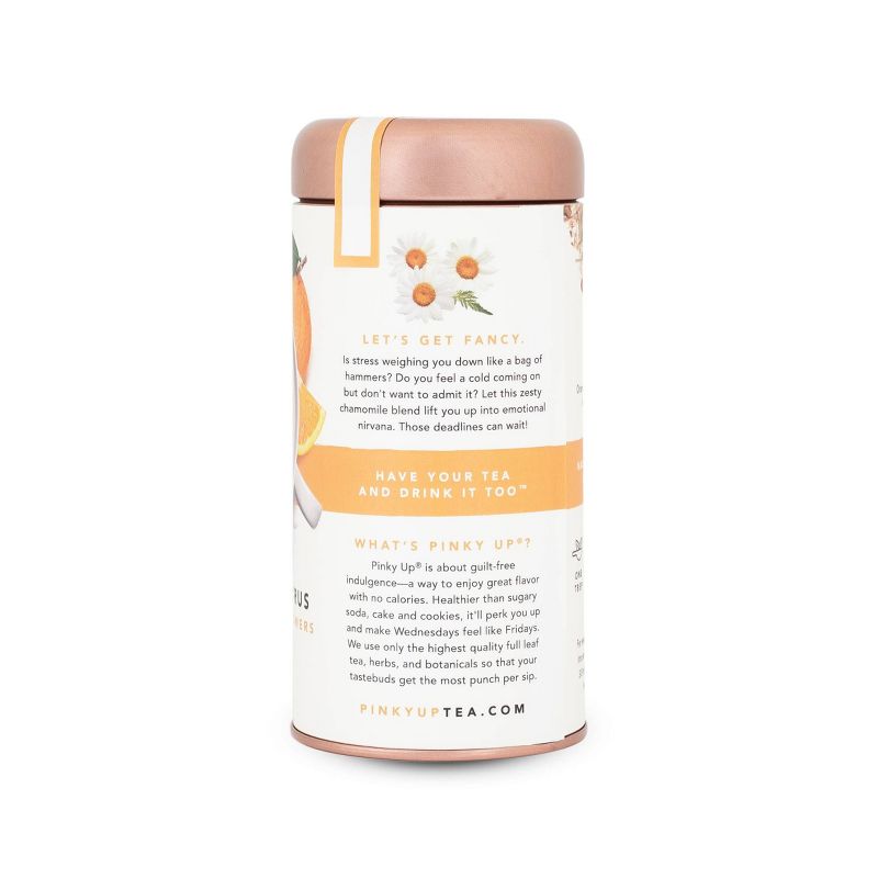 Pukka Three Ginger Tea Bags - 20ct