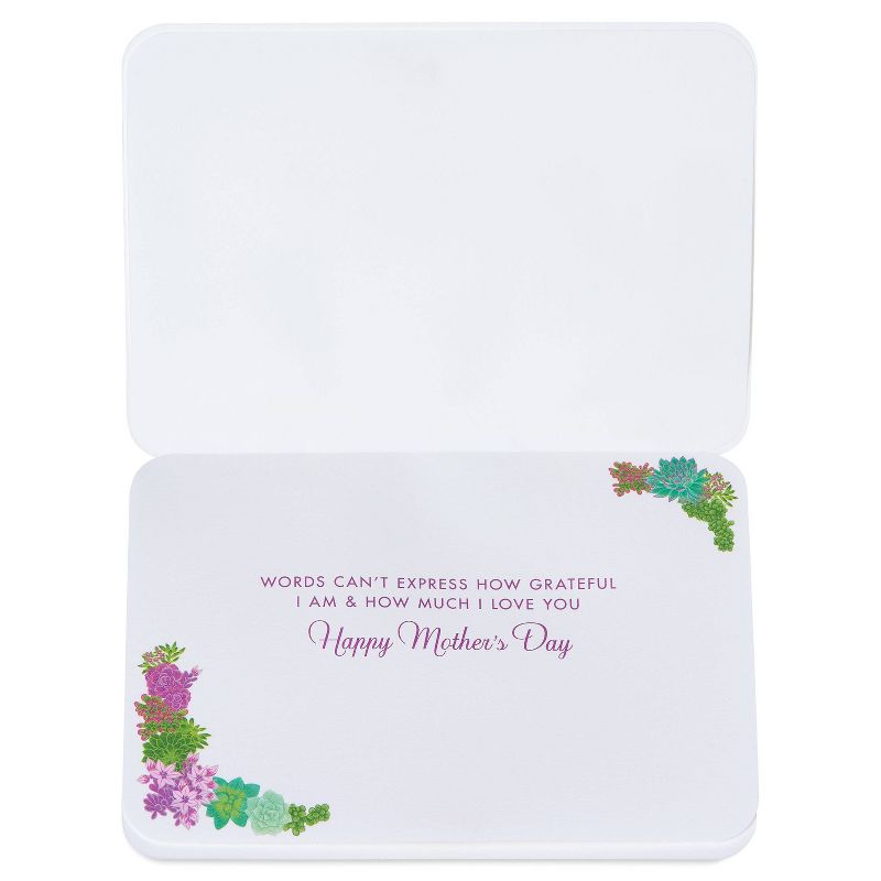 Mother's Day Greeting Card Mom Succulent Planters - PAPYRUS