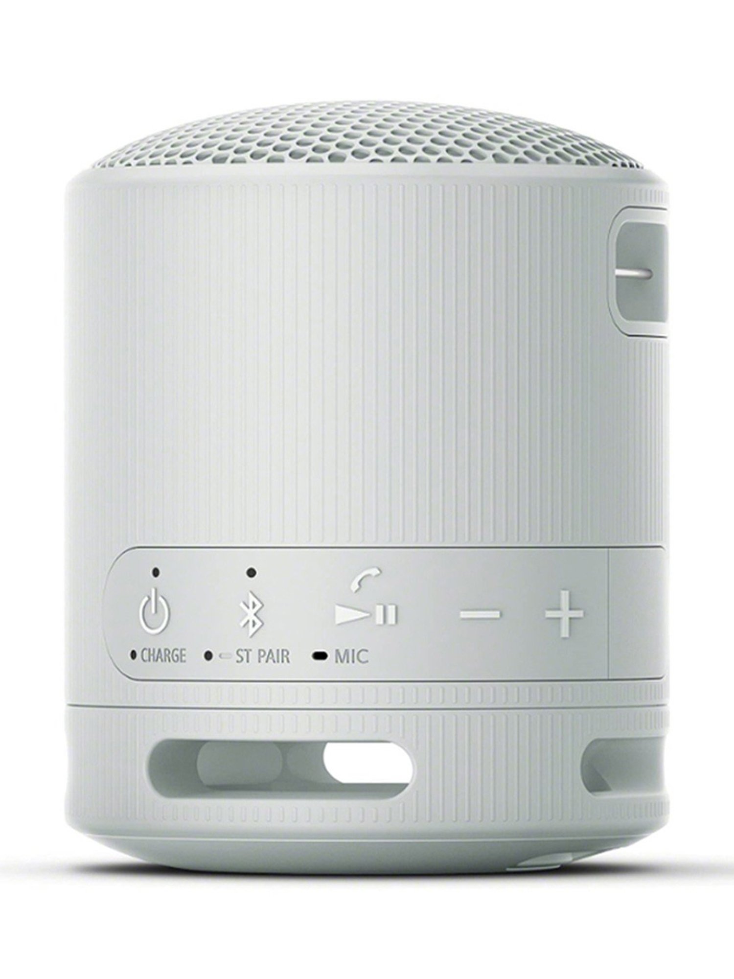 Sony SRS-XB100 Wireless Bluetooth Portable Travel Speaker with IP67 Waterproof & Dustproof (Grey)