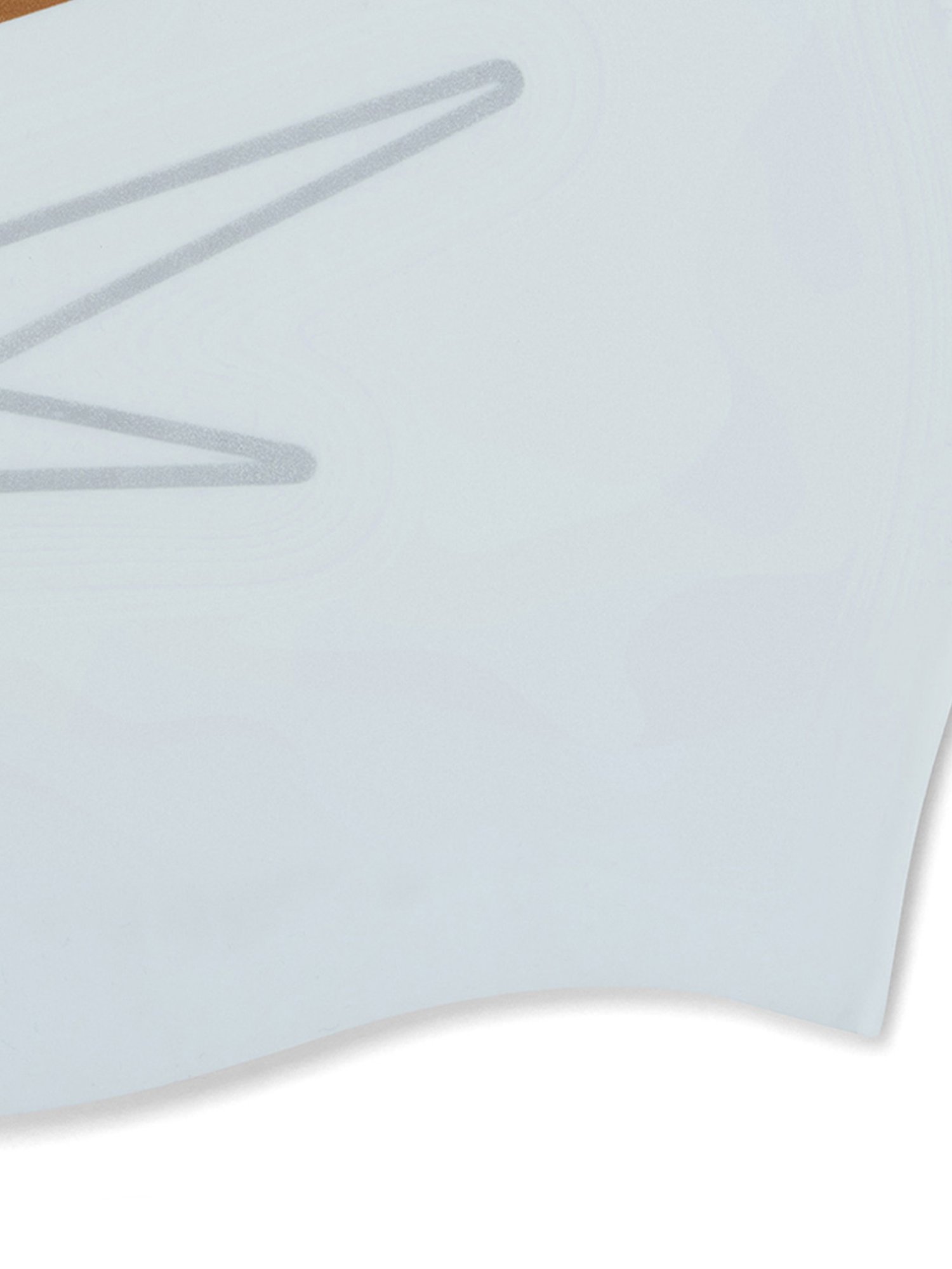 Speedo Unisex Adult Aquapulse Pro Mirror-Lens Swim Goggles (Grey)