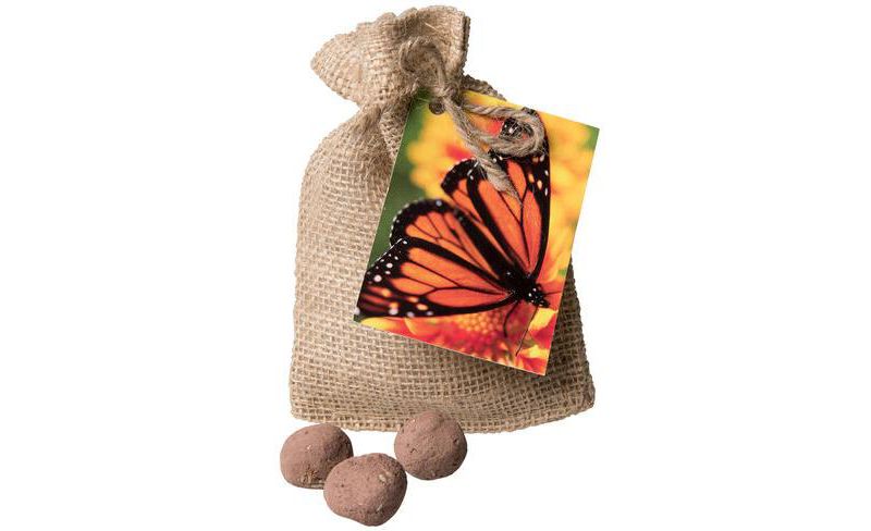 Milkweed Seed Balls - SEEDBALLZ LLC