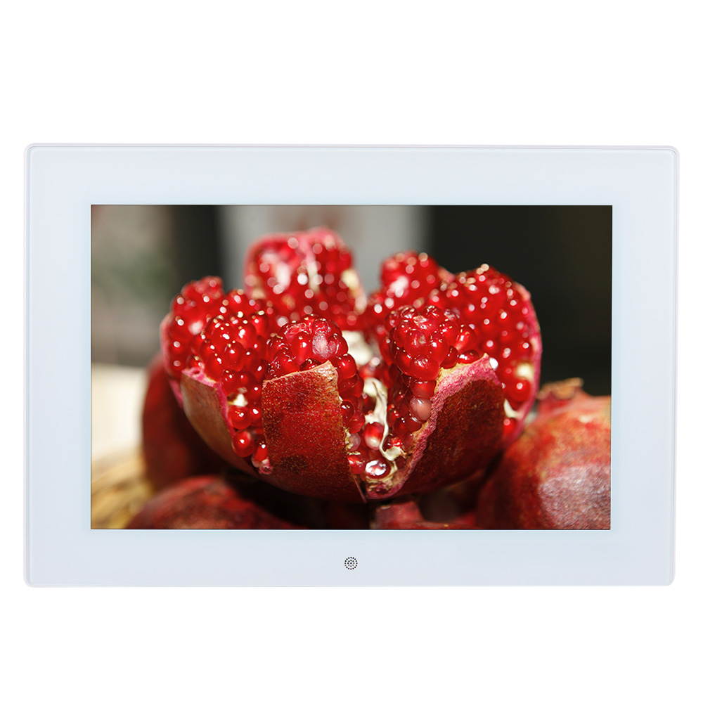 Clapper Hollow HC102 Weimaraner Framed Print