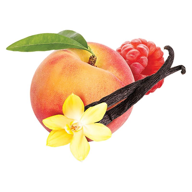 Popsicle Fruit Twister Raspberry Peach & Vanilla - 6ct/16.2oz