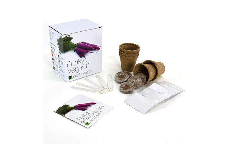 Plant Theatre Funky Veg Kit Gift Box - Plant Seed Kit - 5 Extraordinary Vegetables to Grow - Everything You Need to Start Growing in one Box!
