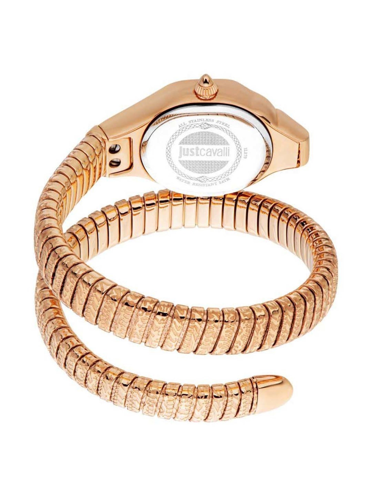 Just Cavalli Amalfi JC1L270M0045 Analog Watch for Women