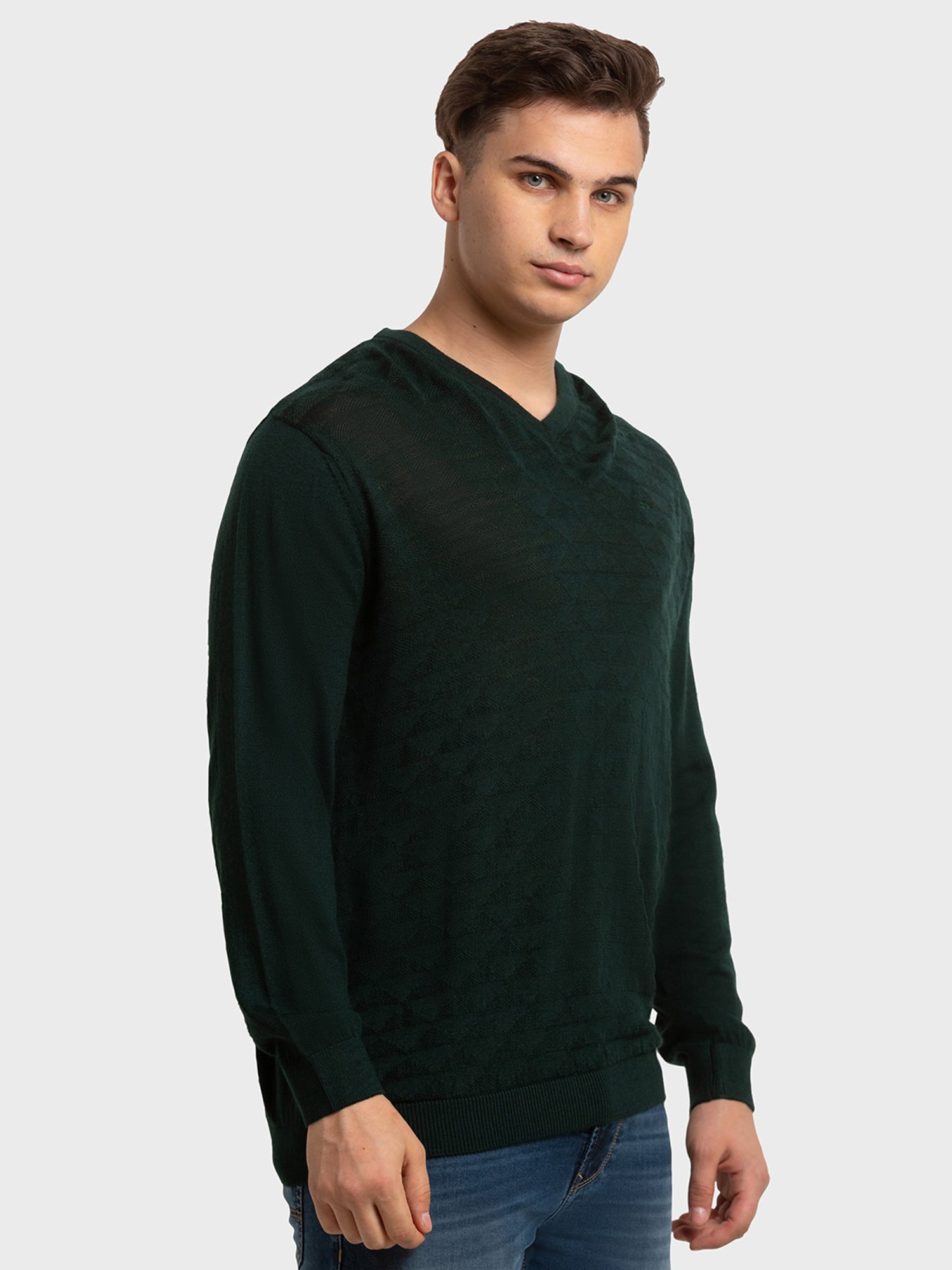 ColorPlus Green Tailored Fit Self Pattern Sweaters